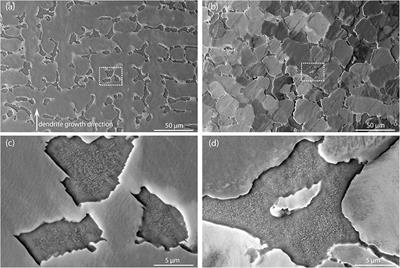 Influence of Solidification Microstructure on Mechanical Properties of Al0.8CrCuFeNi2 High Entropy Alloy